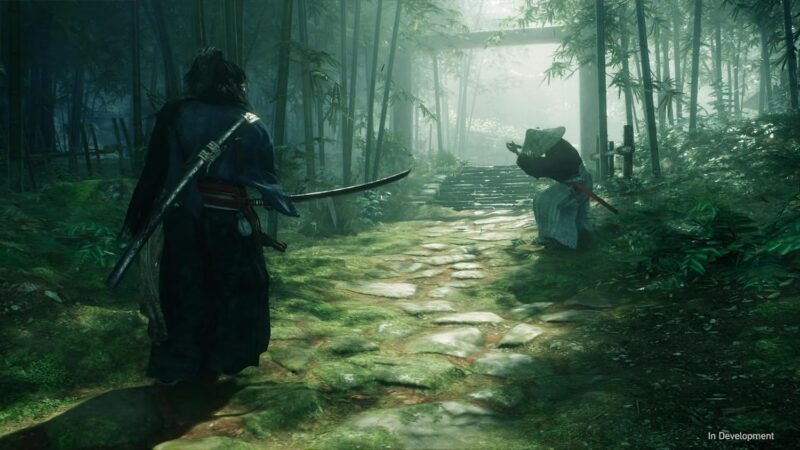 Rise of the Ronin - PlayStation 5